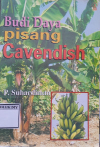 Image of BUDI DAYA PISANG CAVENDISH