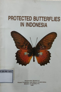 Image of PROTECTED BUTTERFLIES IN INDONESIA